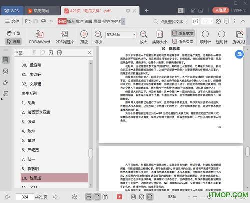 娱乐圈吃瓜pdf文件,PDF文件深度解析  第2张